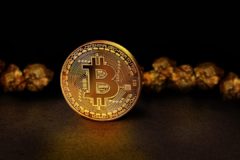crypto