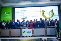 Nigeria's Startups NGX