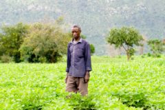 Malawians are finding vast commercial use-cases for Biogas